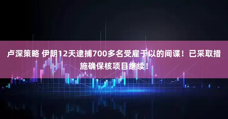卢深策略 伊朗12天逮捕700多名受雇于以的间谍！已采取措施确保核项目继续！