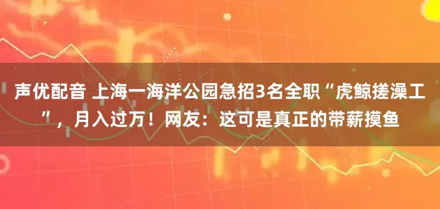 声优配音 上海一海洋公园急招3名全职“虎鲸搓澡工”，月入过万！网友：这可是真正的带薪摸鱼